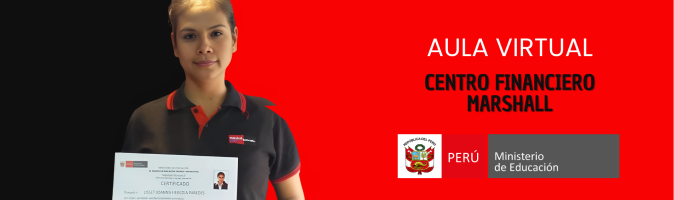 AULA VIRTUAL MARSHALL